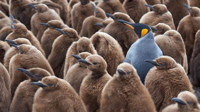 Group Interview: How to Stand Out From the Crowd