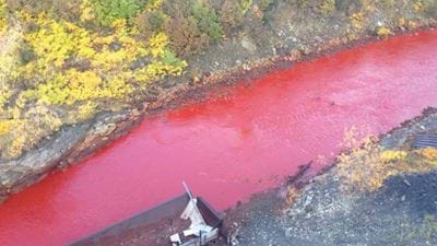 Russian River Runs Red