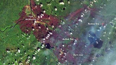 Wildfire Devastates Fort McMurray