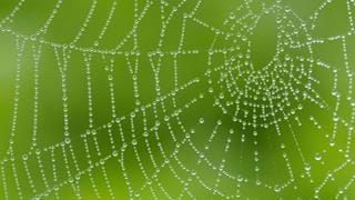 Spinning webs sustainably