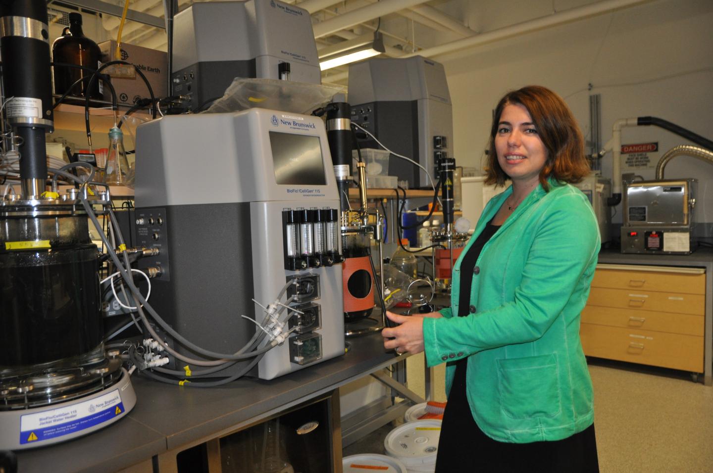 Cutting biofuel production time 