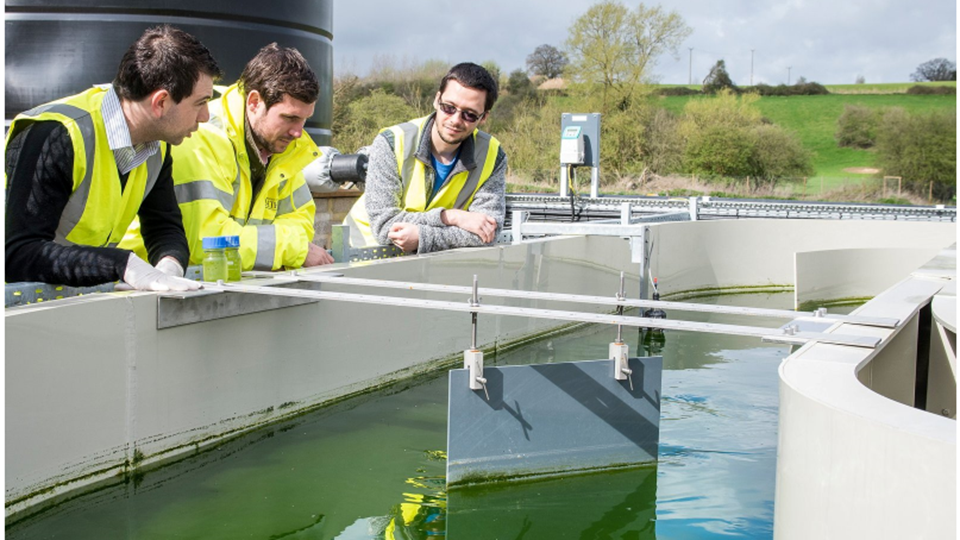 Wessex Water and Bath trial algae treatment - News - The Chemical Engineer