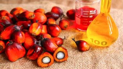 Malaysia’s Sabah to set up first oleochemical plant