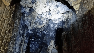 Biodiesel: The tip of the fatberg