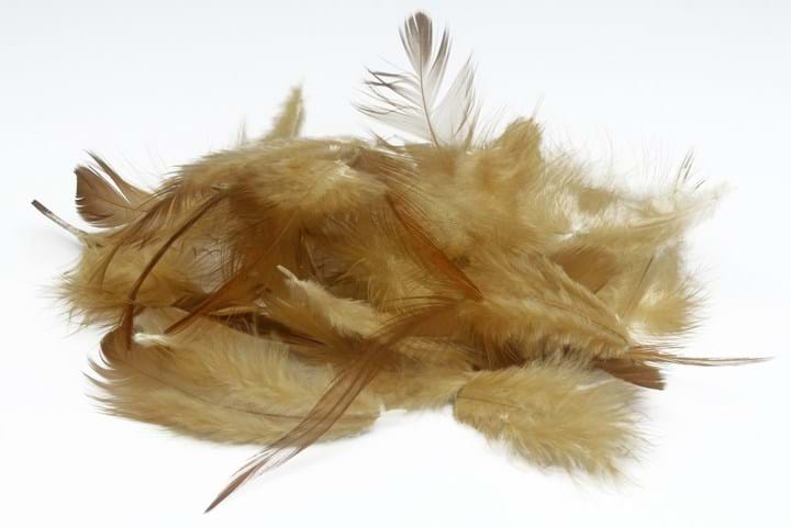 Lund team turns chicken feathers into food - News - The Chemical Engineer