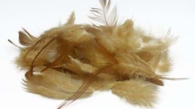 Lund team turns chicken feathers into food