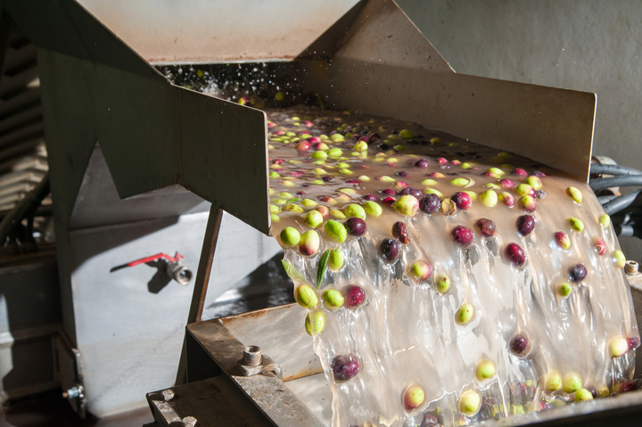 An olive branch for a circular economy