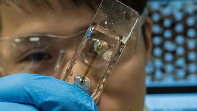 Rice solves mystery of asphaltene clearance in oil pipes