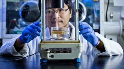 Wood improves solar steam generation
