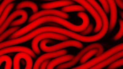 Princeton creates instant hydrogel from spaghetti-like fibres