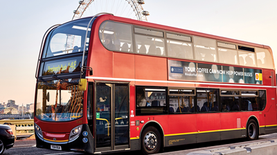 Buses Full of Beans
