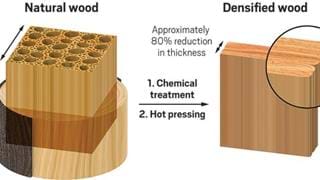 New densified wood is as strong as steel