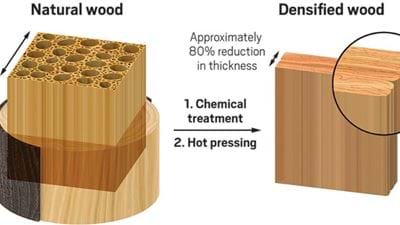 New densified wood is as strong as steel