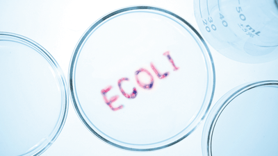 Stanford researchers fight viruses with AI