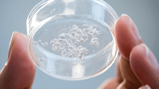 Vaccines: The End of the Cold War?