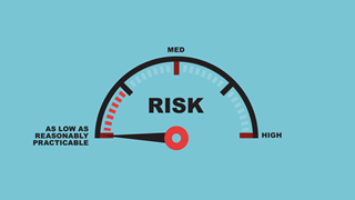 Managing ALARP in Major Engineering Projects