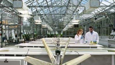 Exxon’s algae biofuel venture enters new phase, targeting 10,000 bbl/d