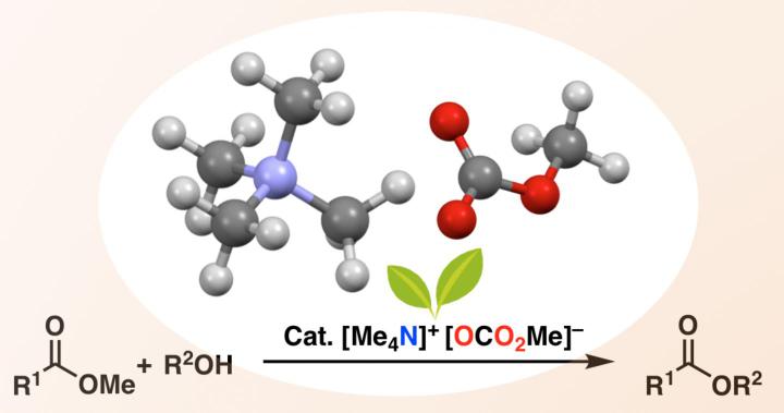 Metal-free catalyst for ester synthesis