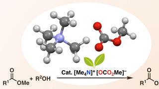 Metal-free catalyst for ester synthesis