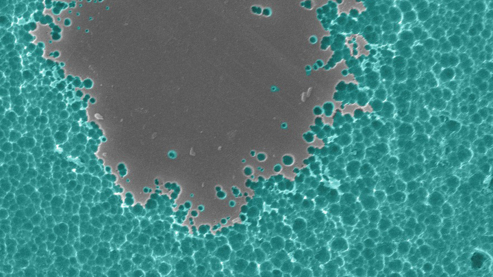 Engineered enzyme digests plastic