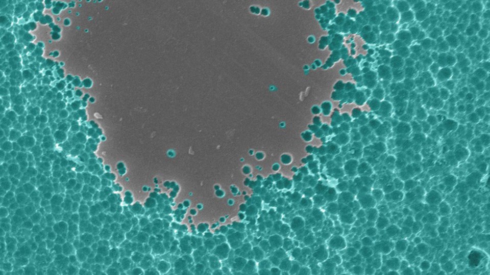 Engineered enzyme digests plastic News The Chemical Engineer