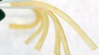 Caffeine used as a catalyst to make gels for drug delivery