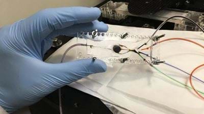 New 3D printer creates complex biological tissues