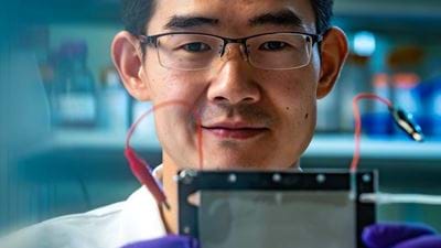 Picky porous electrodes take out toxins
