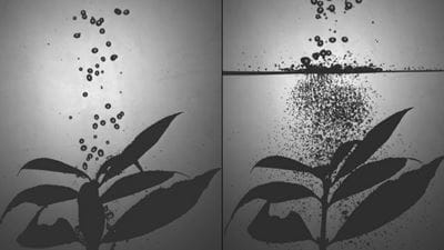 Big little droplets