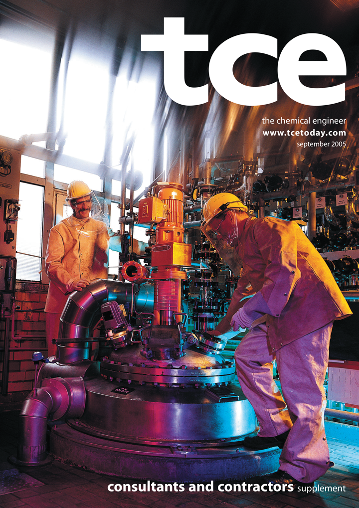 Consultants & Contractors Supplement 2005