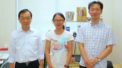 An improved methane to syngas catalyst
