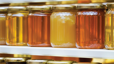 Honey, I Shrunk the Antimicrobial Resistance