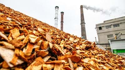 Report assesses the role of biomass in meeting climate change targets in the UK