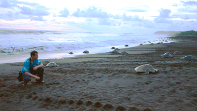 Careers in Chemical Engineering: Marc-Olivier Coppens