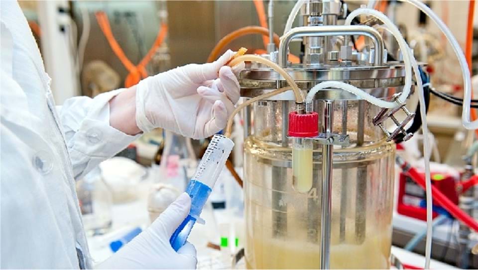 IChemE releases report on the role of chemical engineering ...