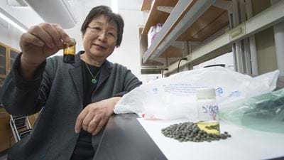 A new process for converting plastic waste to fuel