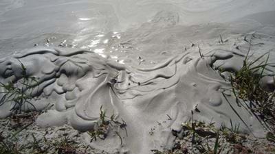 Stabilising coal ash ponds using ‘biocement’
