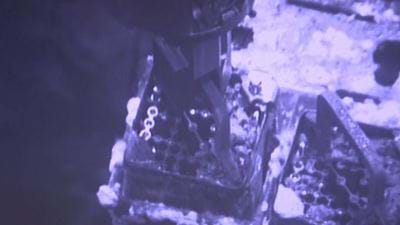 Workers start to remove Fukushima fuel rods
