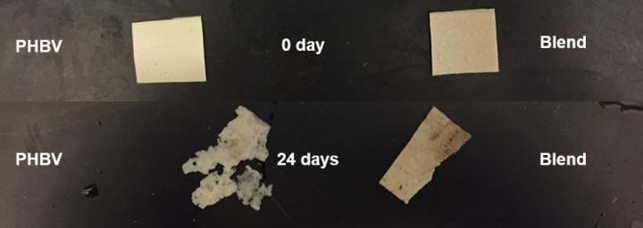A tougher bioplastic for food packaging - News - The Chemical Engineer