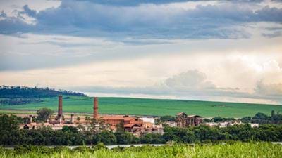 BP and Bunge form joint venture to produce biofuels