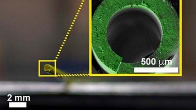 Membrane for low-energy chemical separation