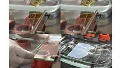 Upcycling plastic bottles for the chemical industry