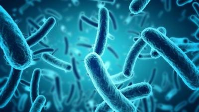 Clever Denitrification Bugs; or How Poor Communication Nearly Derailed a Major Development