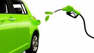 Partners to accelerate biofuels production cycle