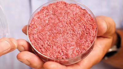 Novel Meat for a New Age