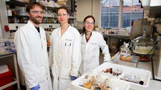 Using wood waste to produce biochemicals: green chemistry for a green future