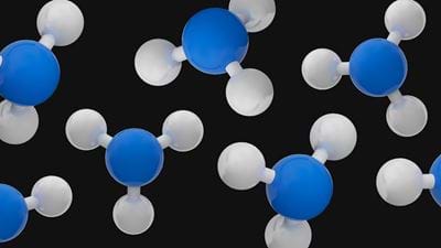 H2 and NH3 – the Perfect Marriage in a Carbon-free Society