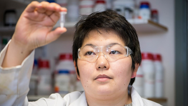 Scientists demonstrate powdered vaccine can break the cold chain