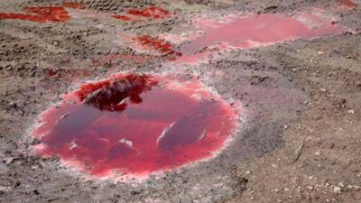 Norilsk Nickel fined US$2.1bn for Arctic oil spill
