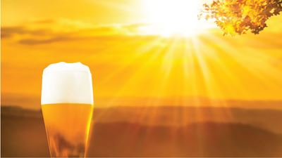 Brewing Up Energy